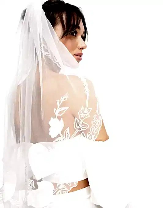 ASOS EDITION Hip Length Love Bird Embroidered Veil