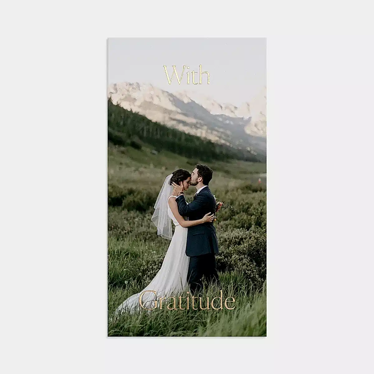 Thank You Cards