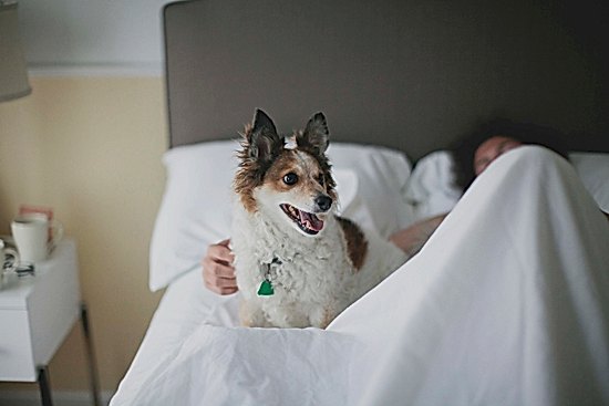 A Practical Wedding | Sarah Gormley Photography