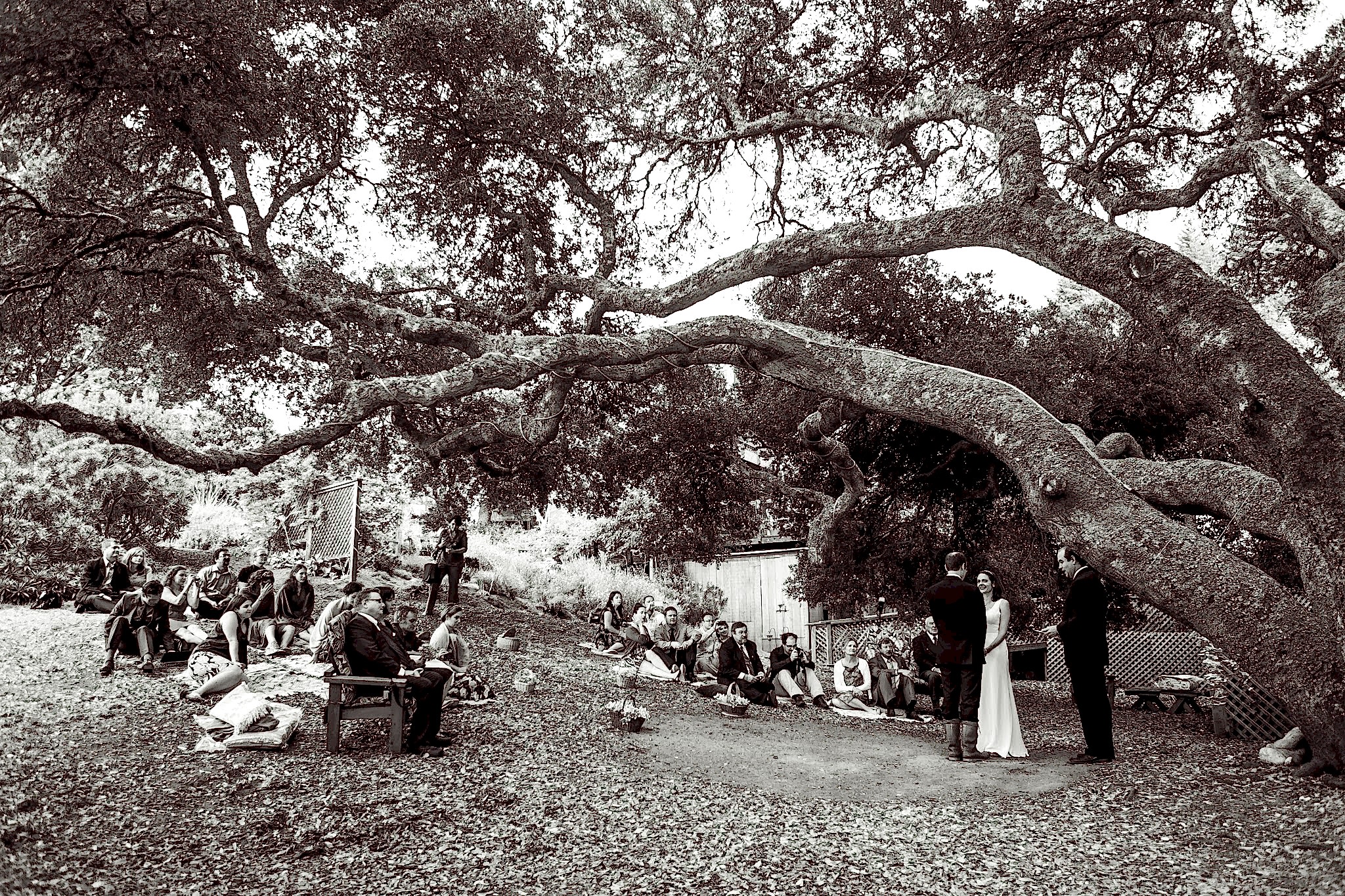 Yurt Wedding | A Practical Wedding (58)