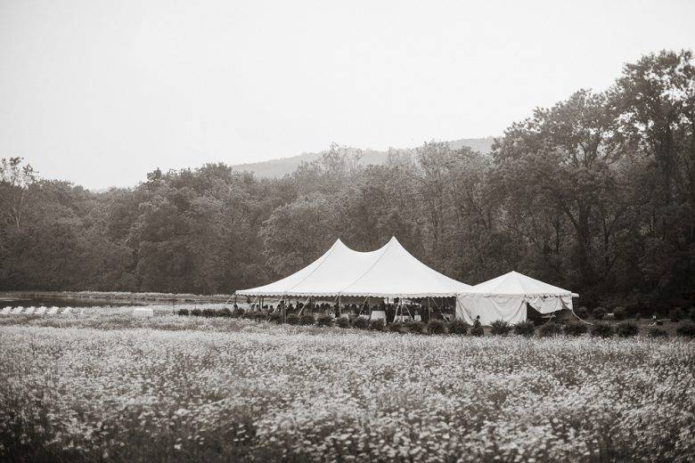Wedding tent in the middle of a field of flowers