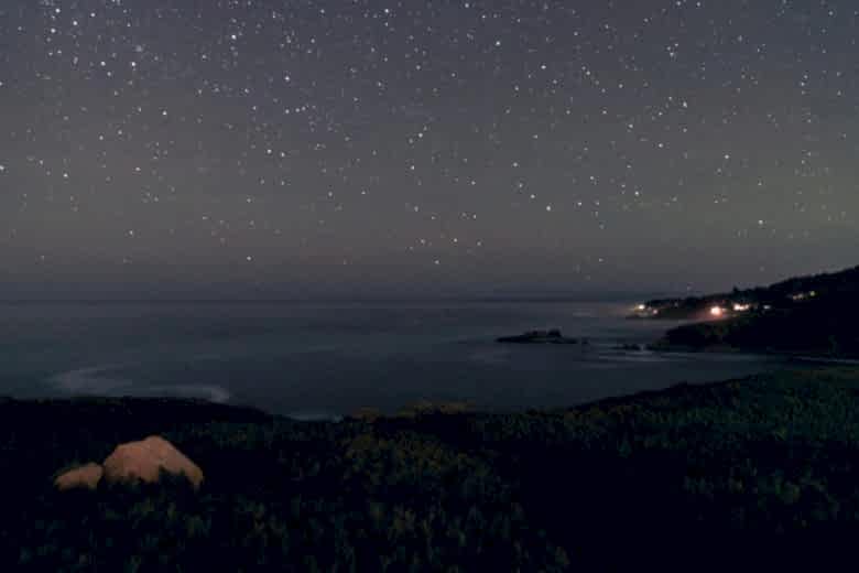 49_Timber-Cove-Inn_AmandaNick_AndriaLo