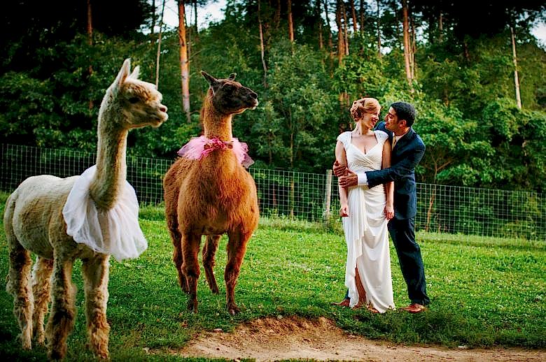 rebecca-osama-wedding-pittsburgh (432)