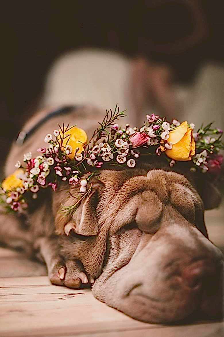 CarrieandJoe-01.PreparationsandFirstLook-CarrieandJoe-20150912-165020_-FINAL