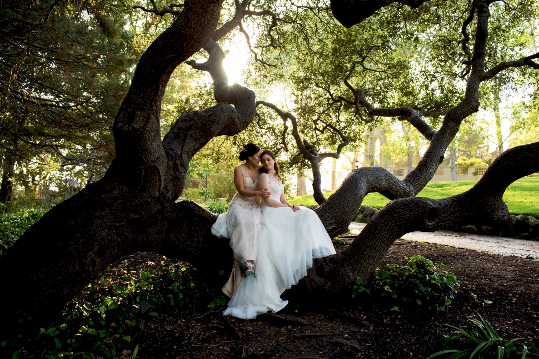 two people sit in a tree