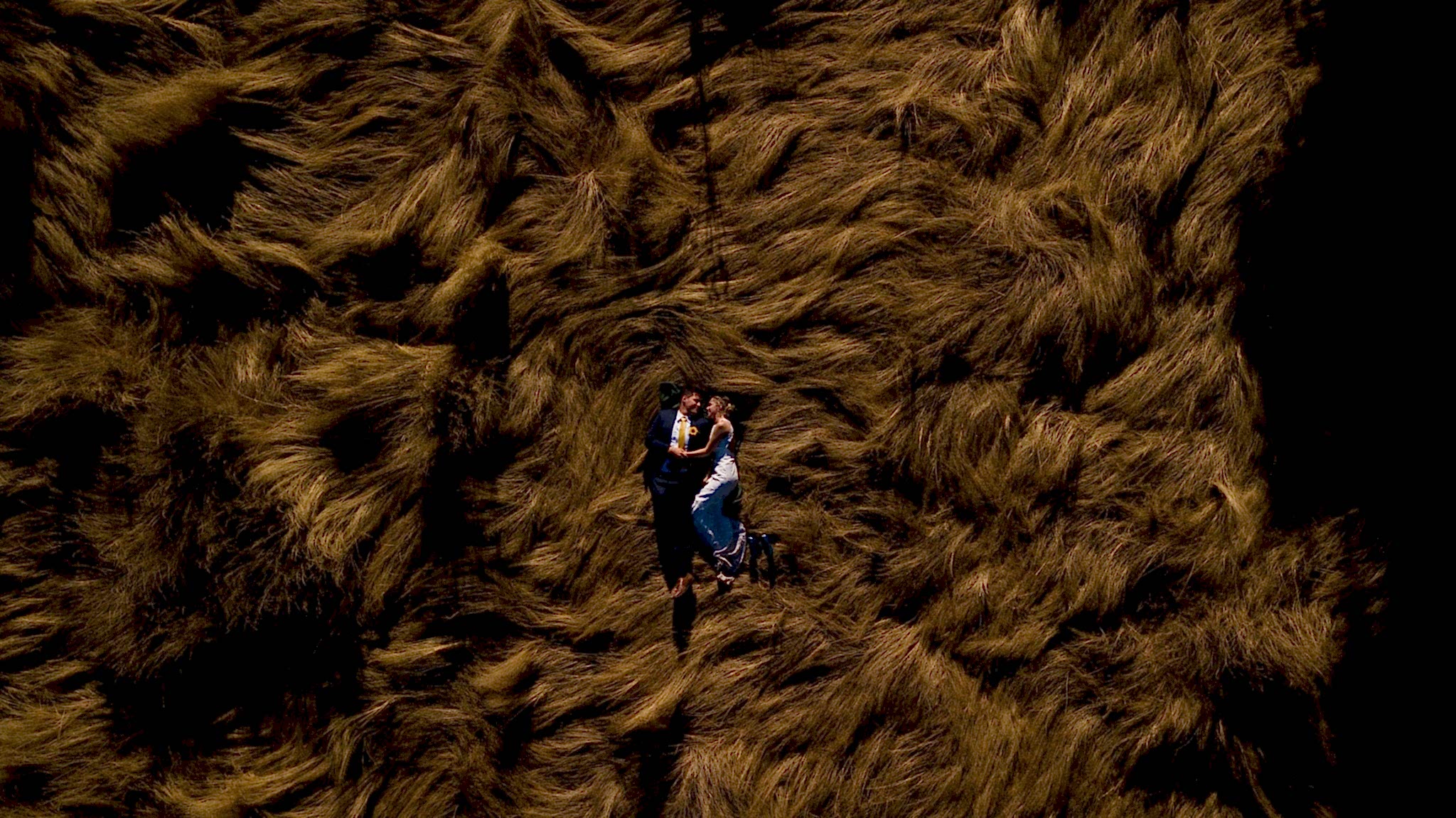 two people lie down in a field