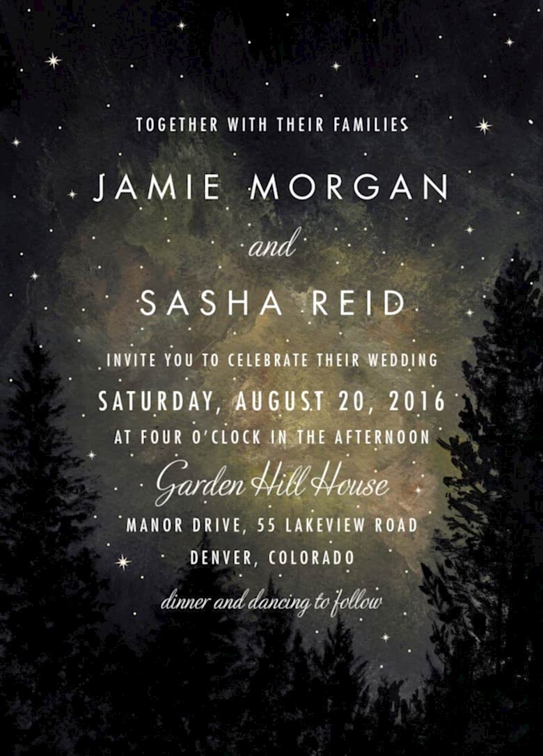 starry starry night wedding invitation by minted