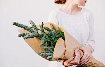 woman holding holiday plants