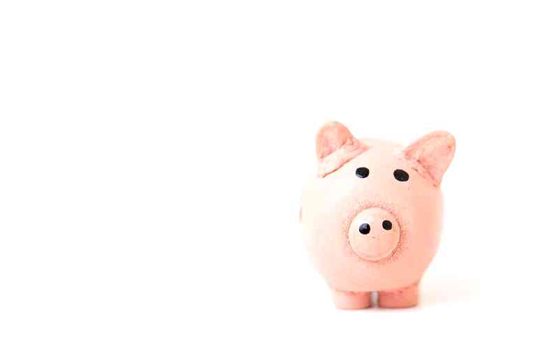 pink pig against a white background