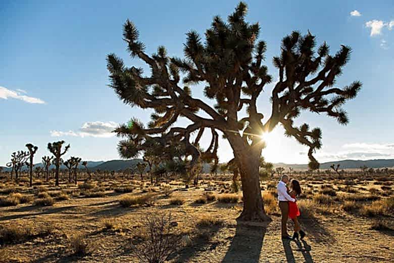 joshua tree engagement session photos
