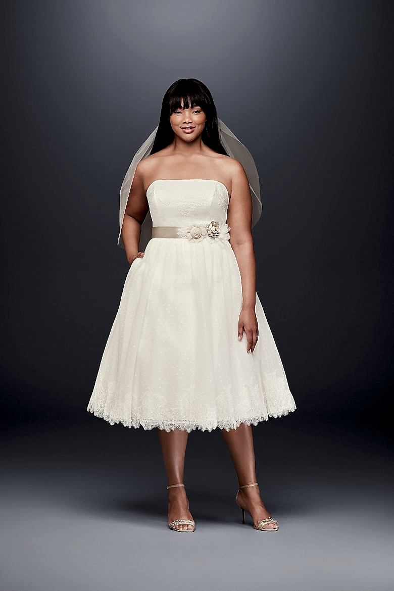Dotted Tulle Plus Size Tea-Length Wedding Dress