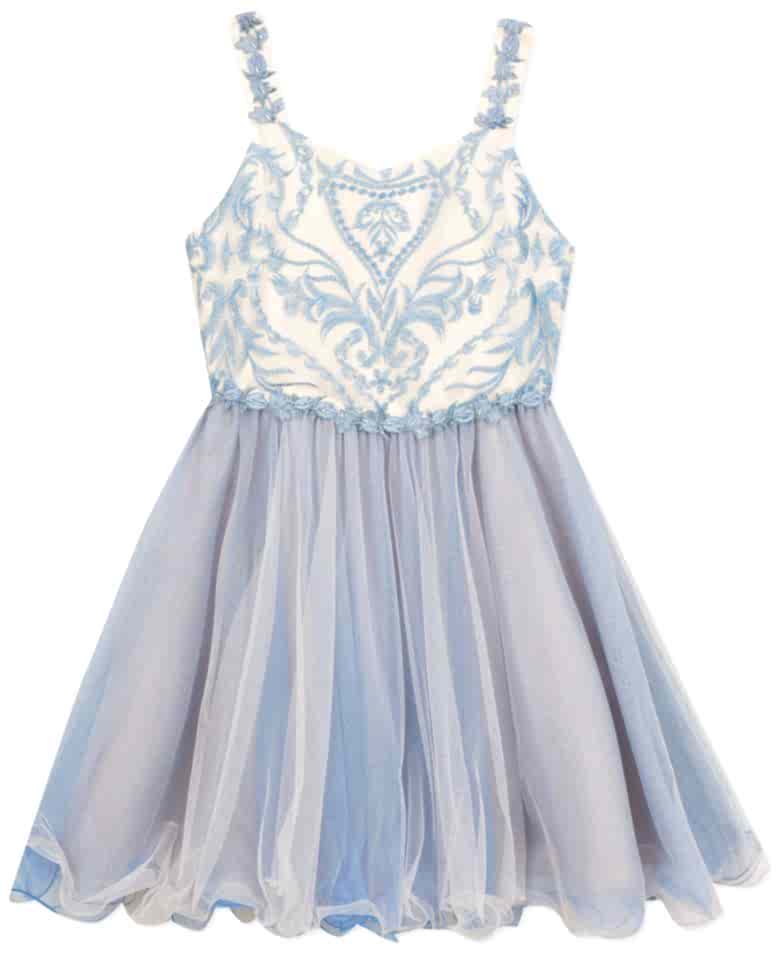 blue dress with embroidered bodice