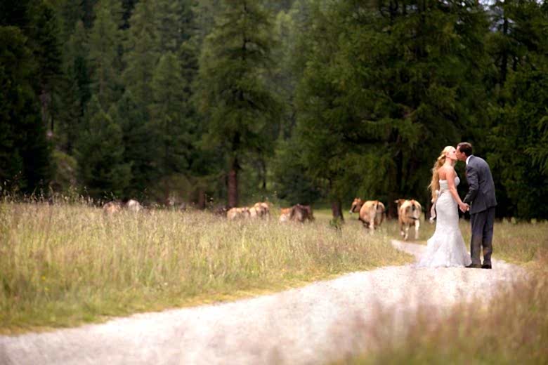 bride and groom kissing on path in field amid cattle