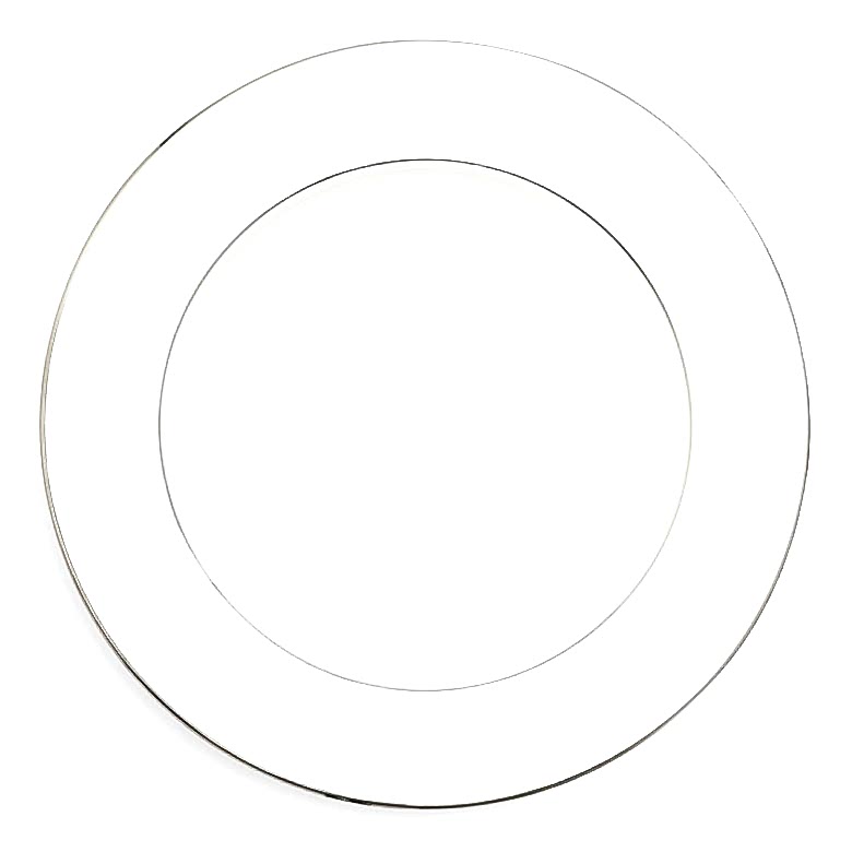 Fortessa Taura Platinum Bone China Plate
