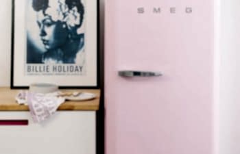 Pink Smeg Fridge next to wooden countertop with Billie Holiday poster and succulent