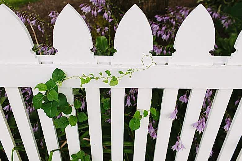 A white picket fence