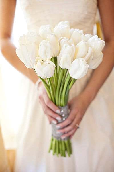 hand-tied simple flower bouquet of white tulips