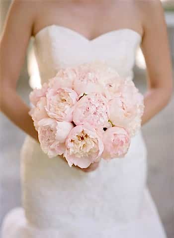 round pink peony bridal bouquet