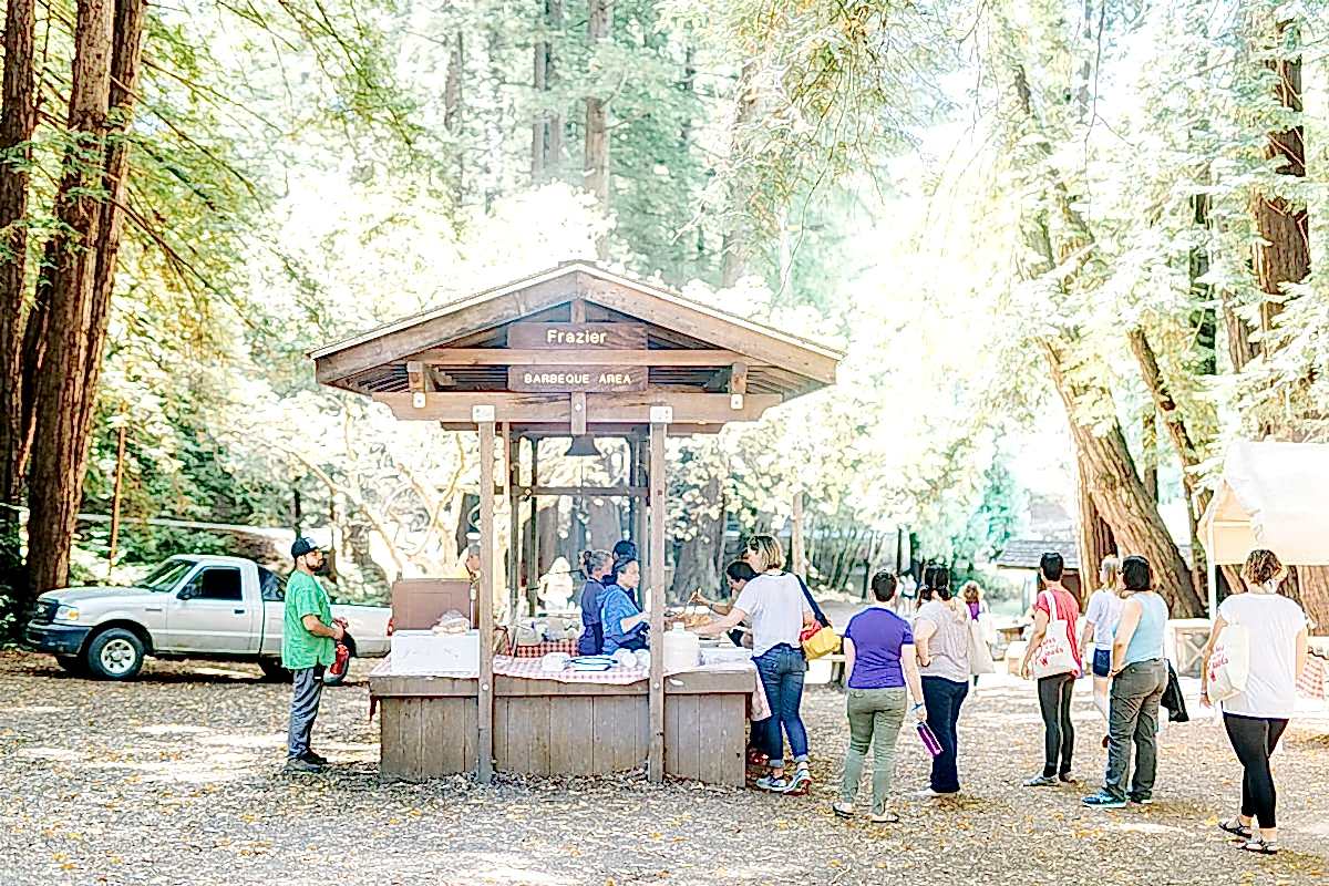 Women lined up to get burgers and hot dogs from a smokey grill stand in a clearing among the redwoods at the compact summer camp in la Honda, CA