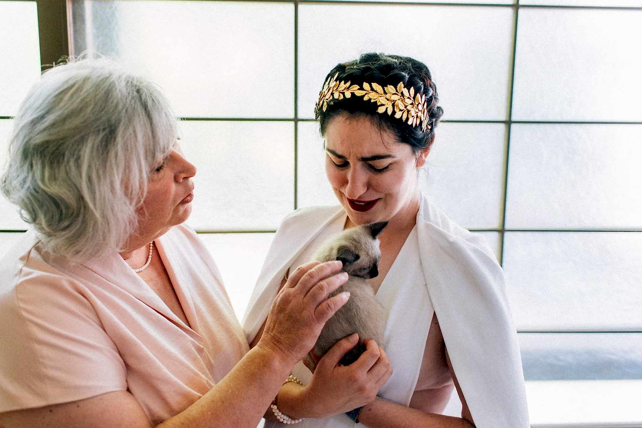 kitten happy hour wedding