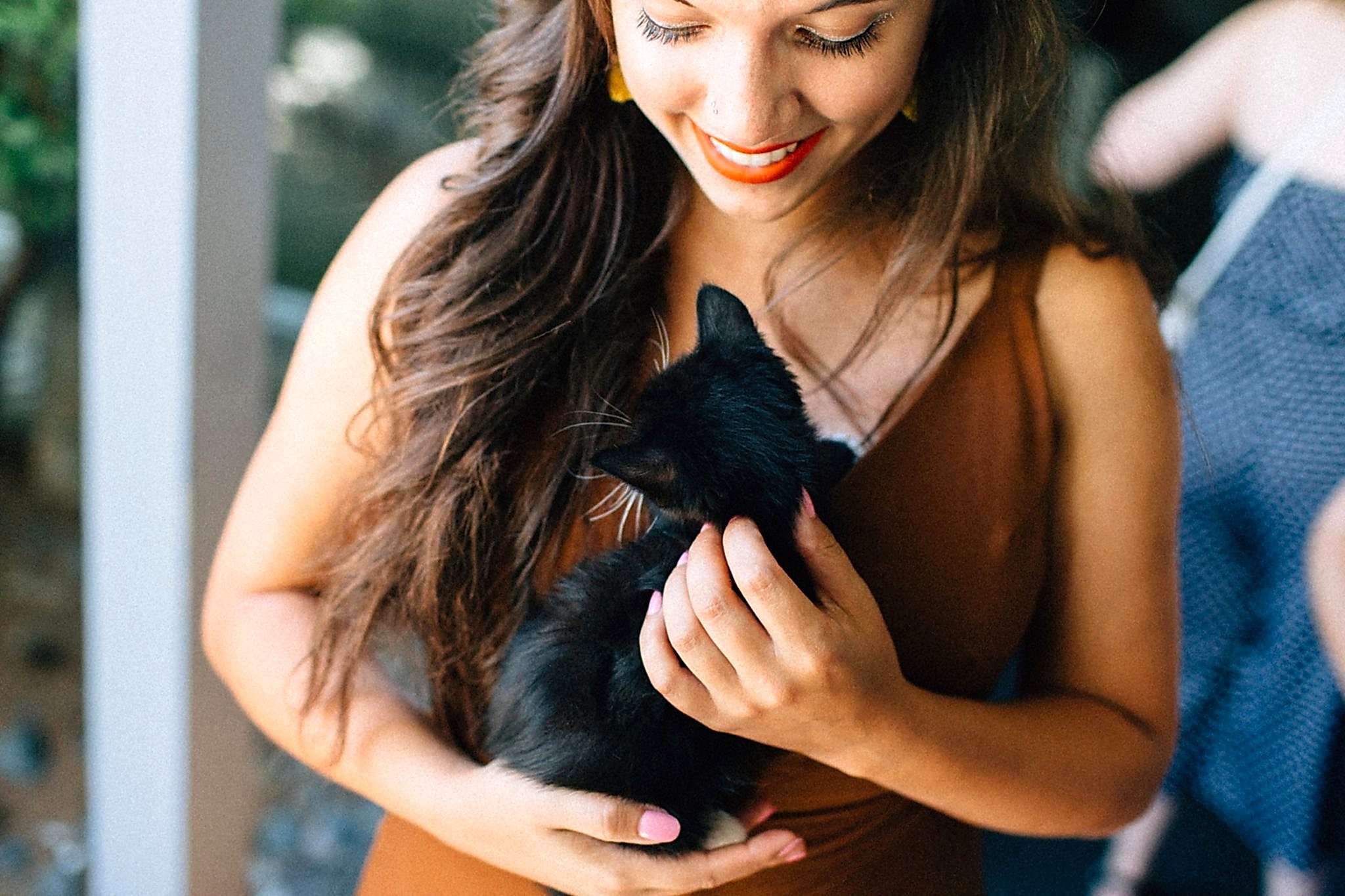 kitten happy hour wedding