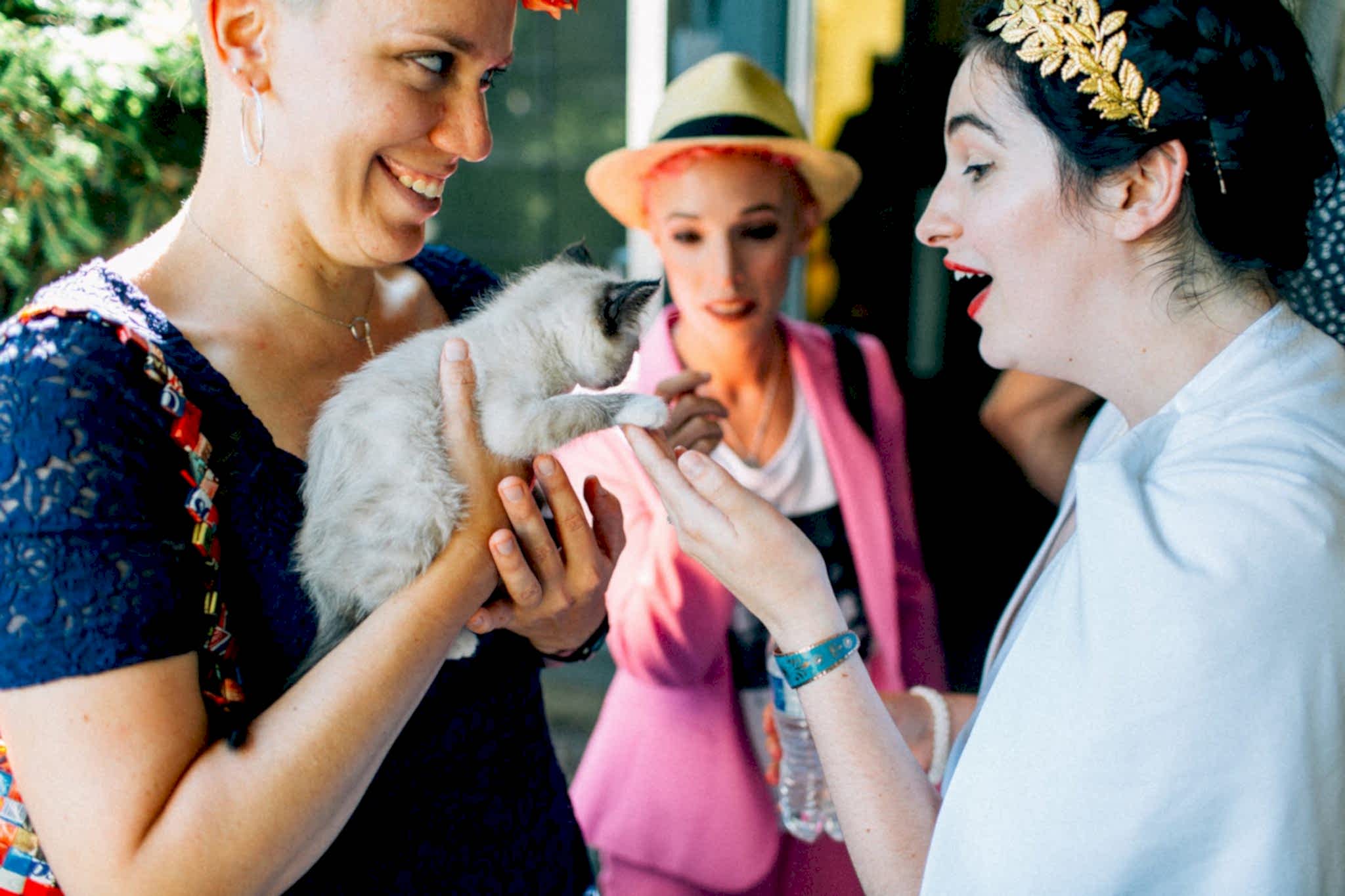kitten happy hour wedding