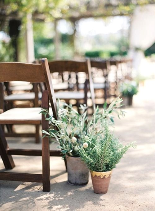 wedding ideas for aisle decor—potted plants adorn an aisle