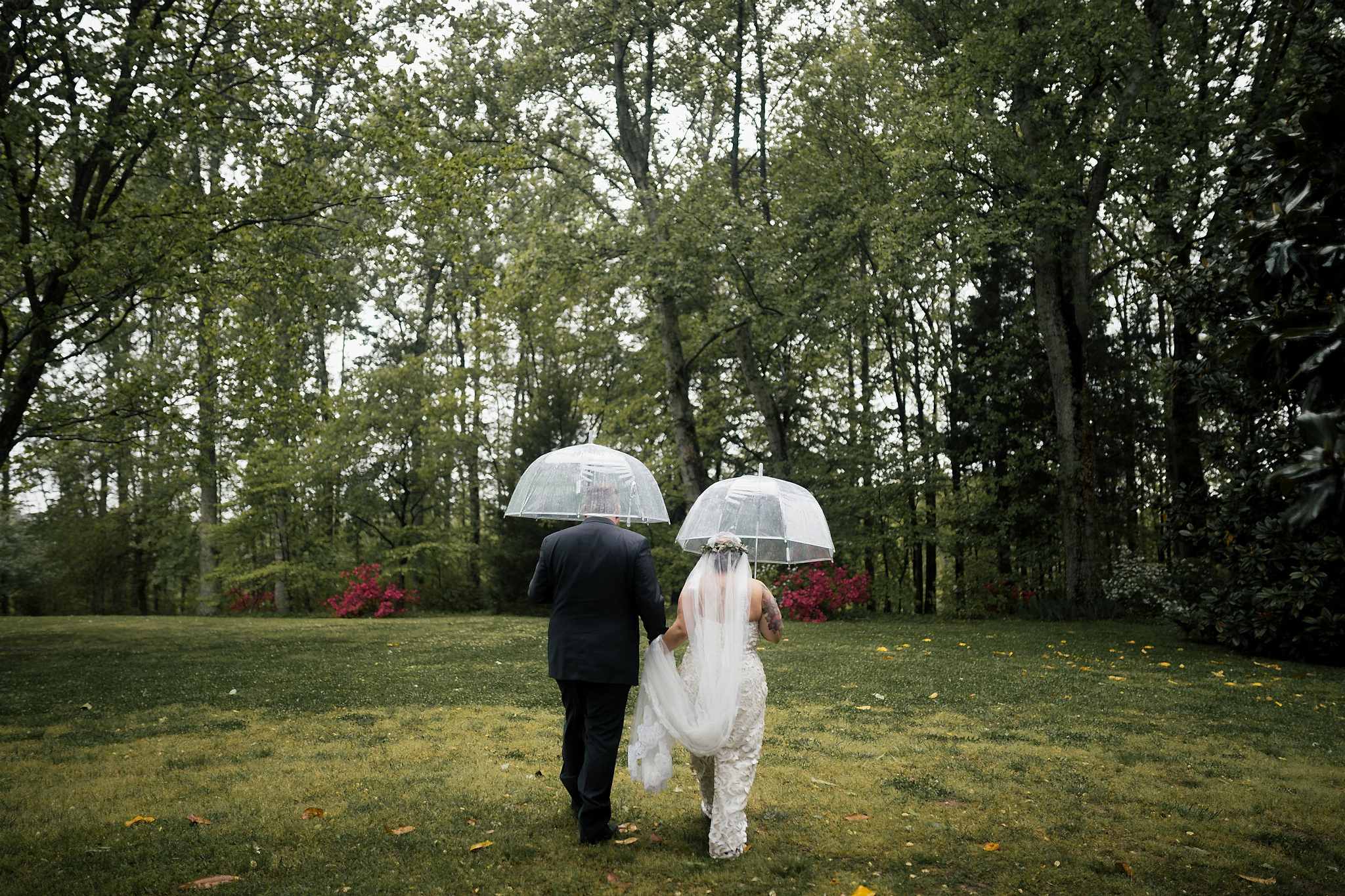 a couple walks through a field using clear wedding umbrellas for rain while the groom holds the brides train up and out of the grass