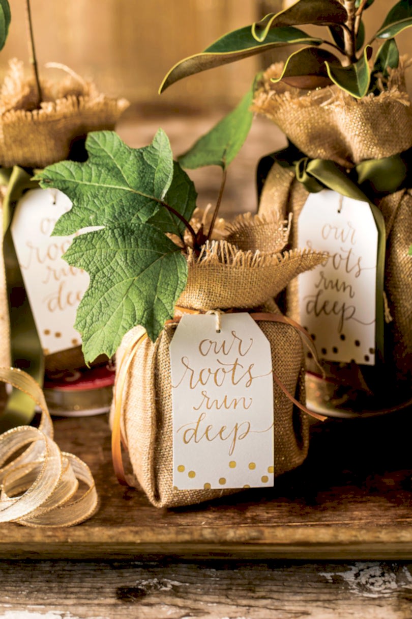 Burlap wrapped plant favors on a table as an engagement party idea