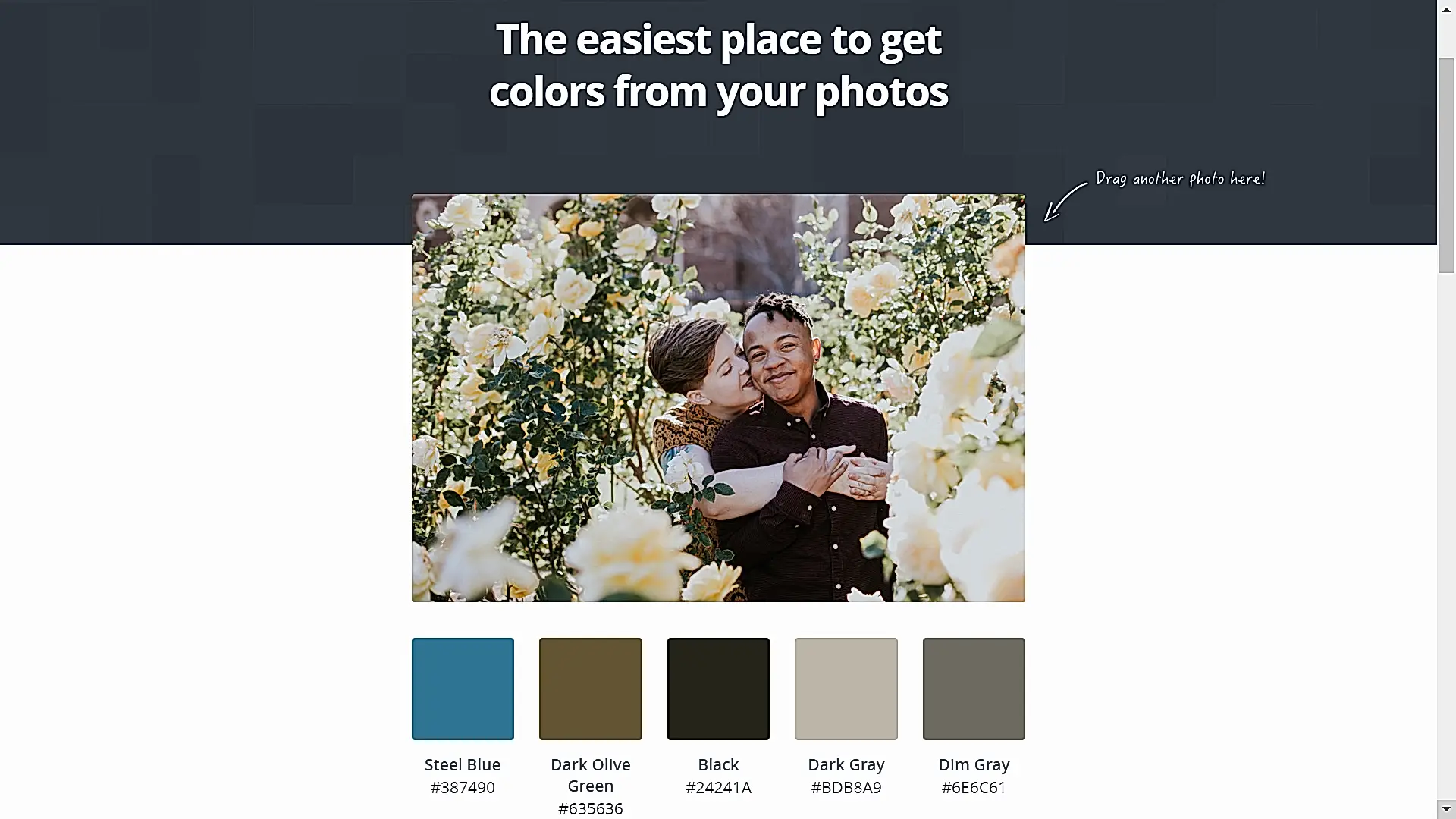 canva's color palette tool with an engagement photo of a queer couple taken by studio xiii photography