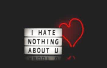 Sign saying "I hate nothing about you"