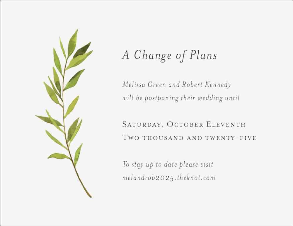 an illustrated olive branch with the text A Change of Plans