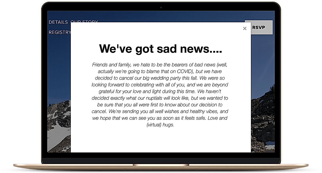 Example of wedding website wording for a cancelled wedding