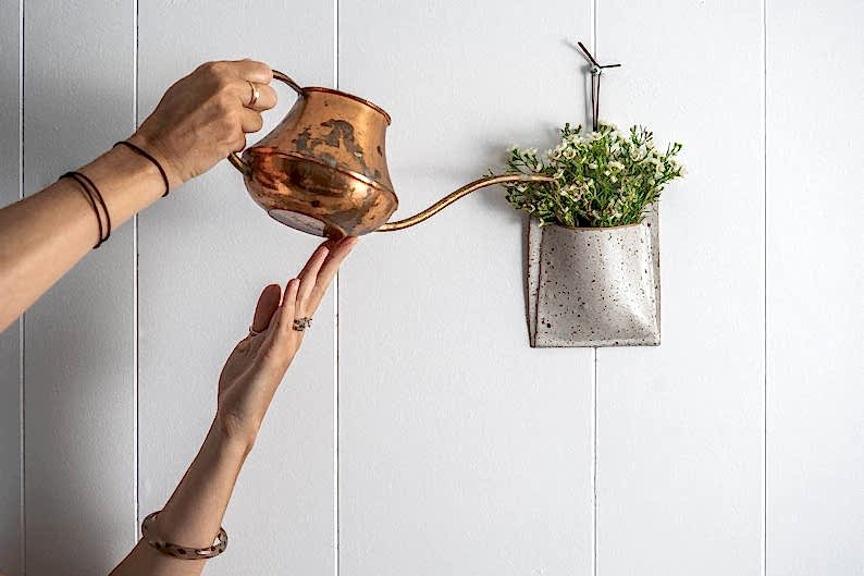 Hands pouring copper watering pot into small hanging plant