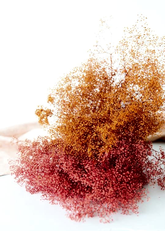 2020 fall wedding ideas include orange and pink dried gypsophila 