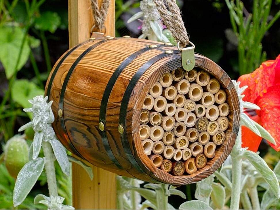 bee barrell