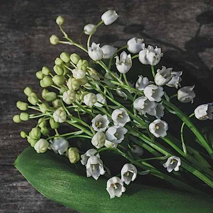 lily of the valley wedding flowers