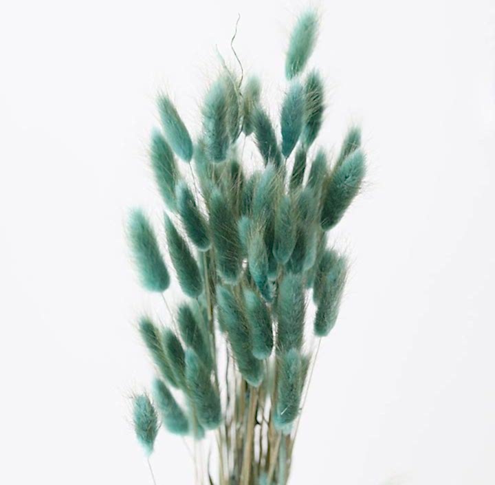 blue bunny tails