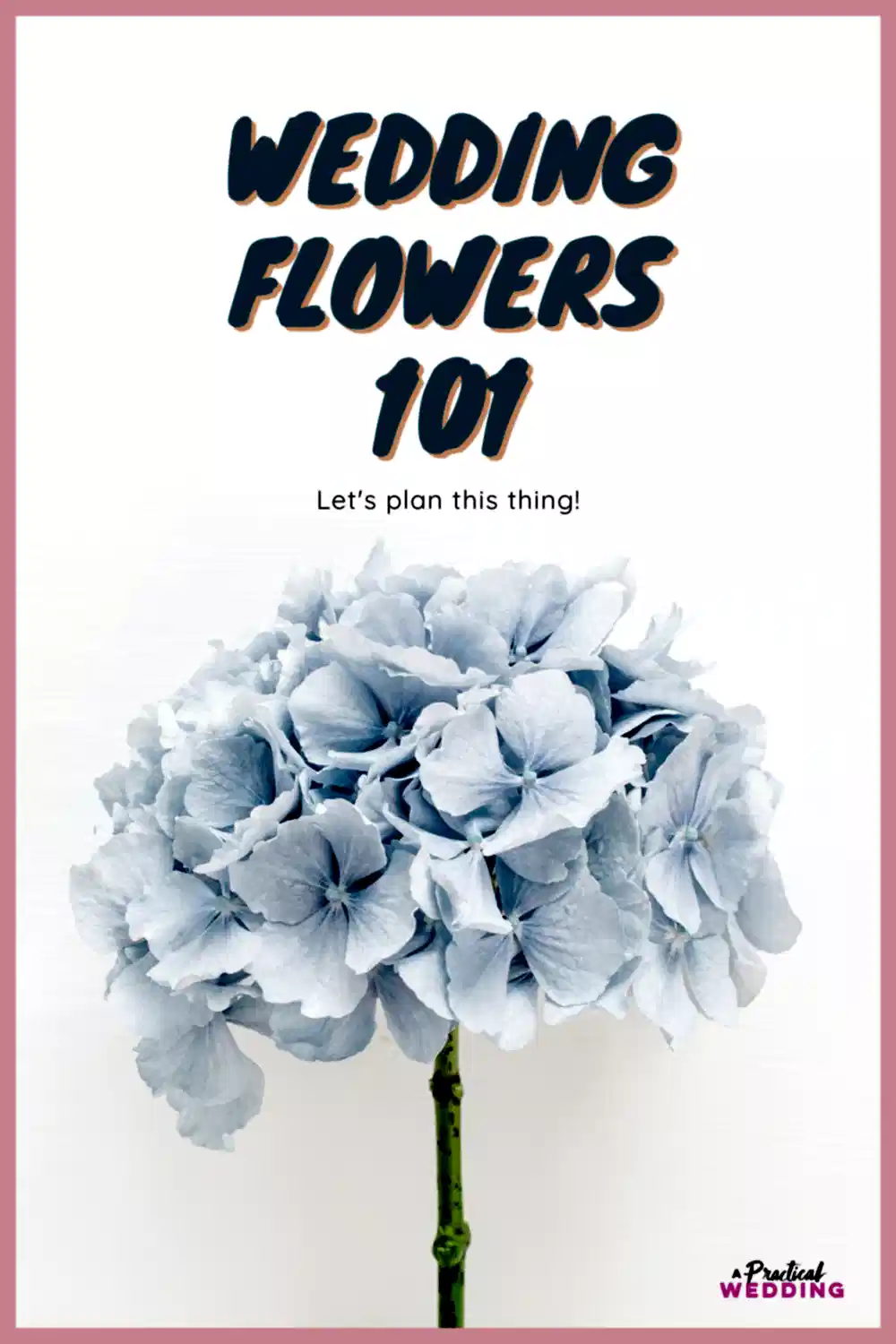 wedding flowers 101 graphic
