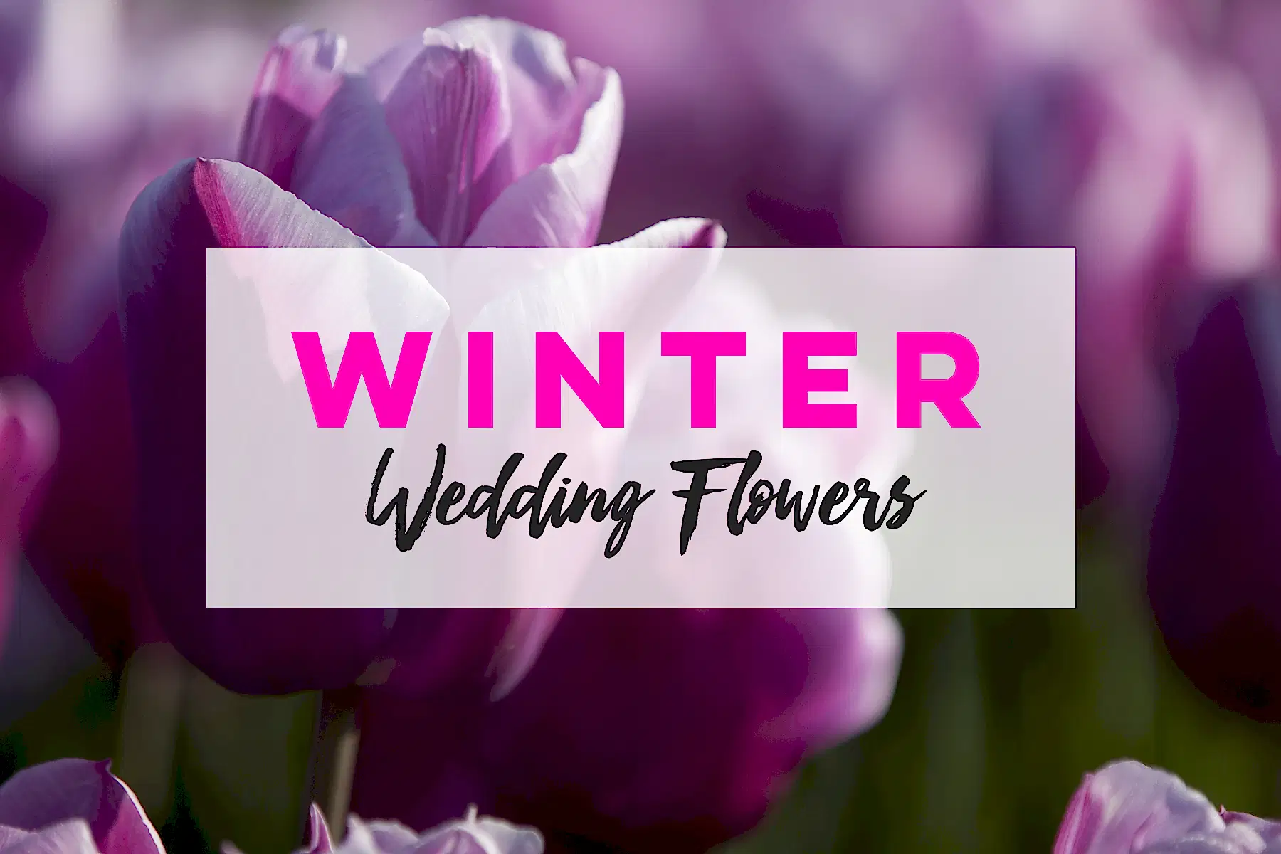 winter wedding flowers with tulip background