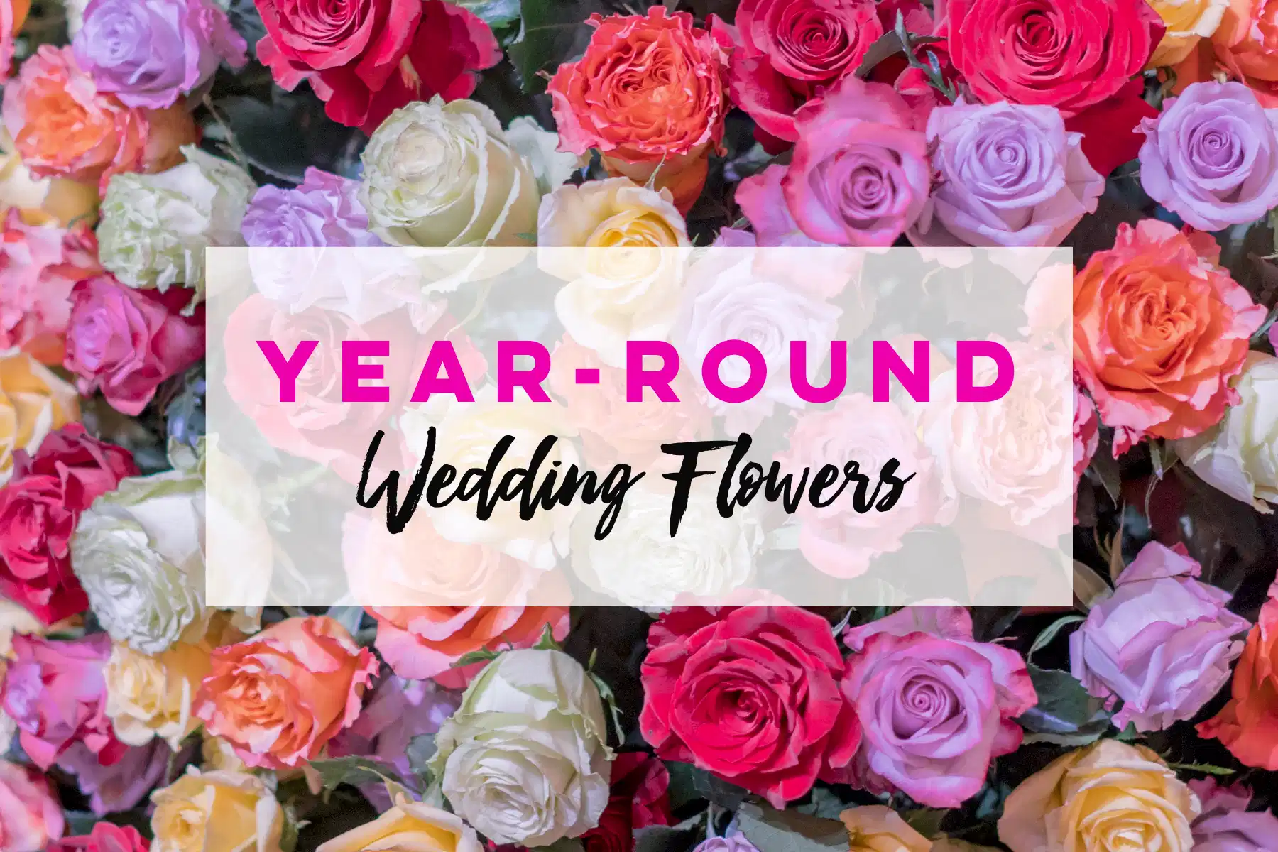 year-round flowers