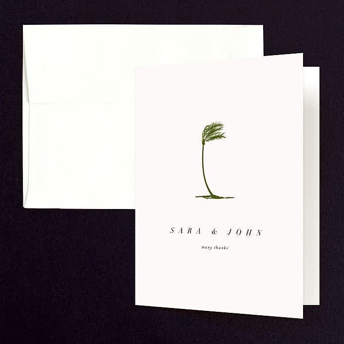 windy palm tree card